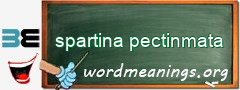 WordMeaning blackboard for spartina pectinmata